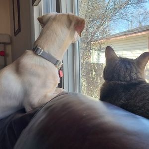 Meet your Posher, Marlo